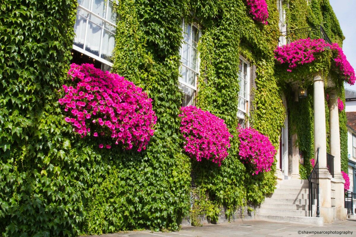 فندق ذا آنجل هوتل Bury St. Edmunds المظهر الخارجي الصورة